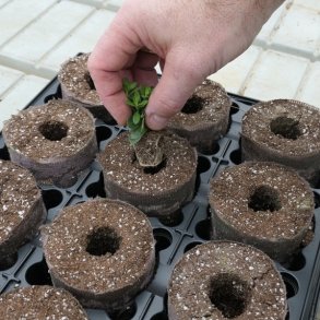 Ellepot - til oppotning af dine sm&aring;planter